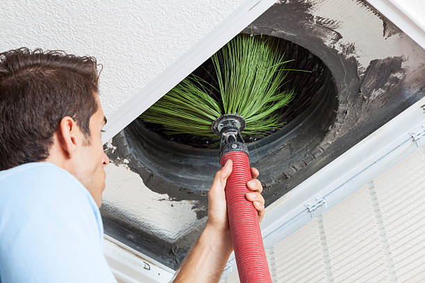 Best Air Vent Cleaning Services  in China Grove, TX