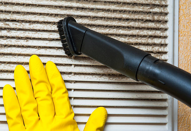 Best Air Duct Mold Removal  in China Grove, TX