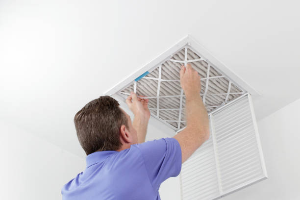 Best Ductwork Cleaning Services  in China Grove, TX